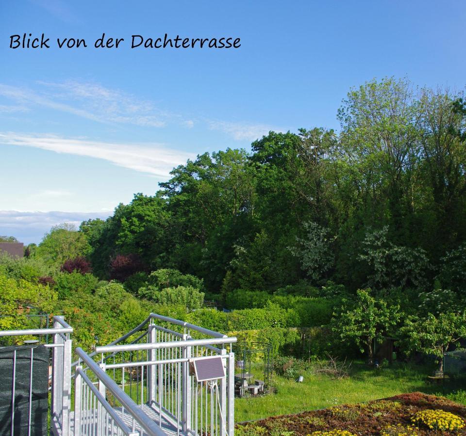 Ferienwohnung Schweier - Ausserhalb Und Doch Zentral 프라이부르크 임 브리스가우 외부 사진